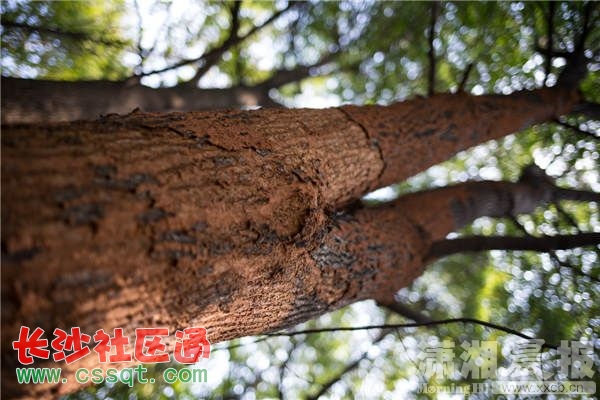 xxcb20141023_125_.jpg